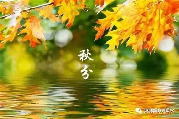 秋分如何调理运势好？