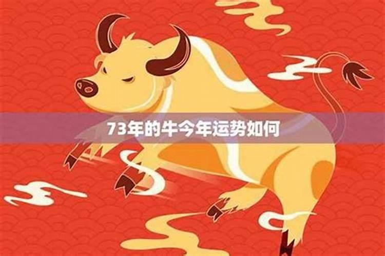 属牛腊月十九命运如何？