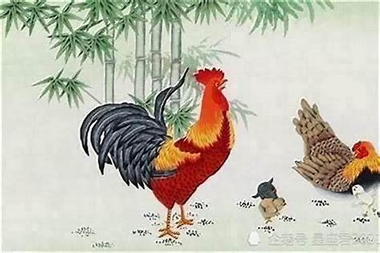 九月初九出生的人属鸡的