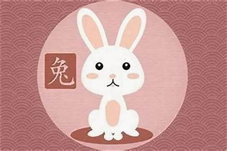 属兔婚姻不顺带什么？