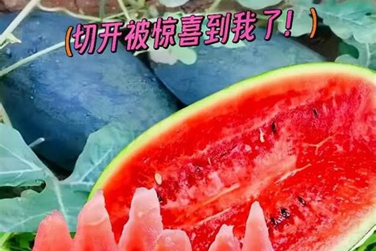 梦见吃西瓜什么意思啊？