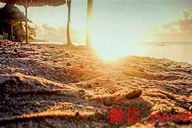 甲子海中金和什么命合婚？