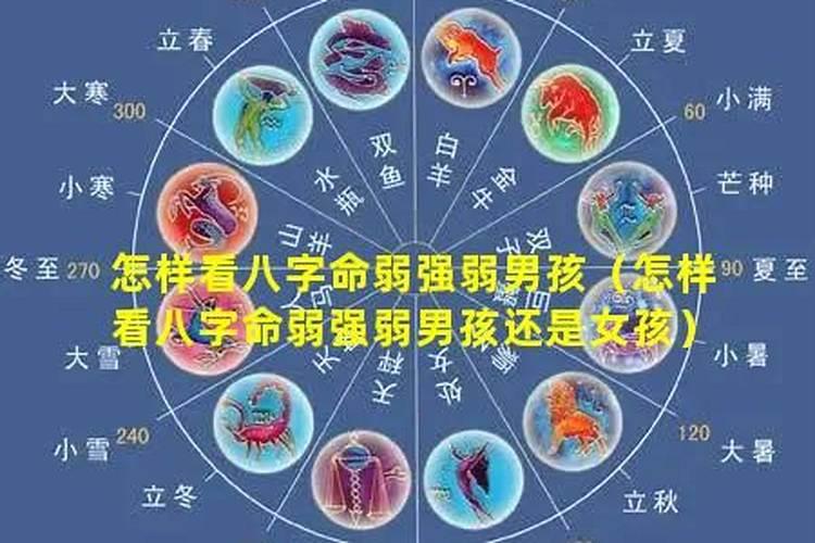 怎样看八字强弱？