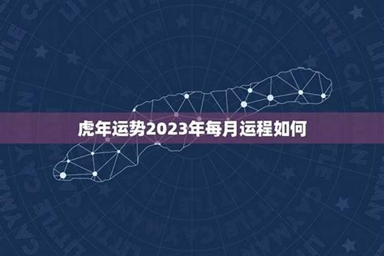 属虎在猪年12个月的运程如何？