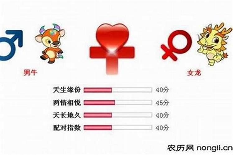 属龙的和什么属相合婚？