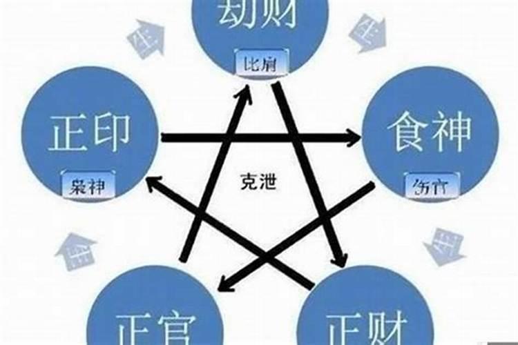 财库包括哪四部分？