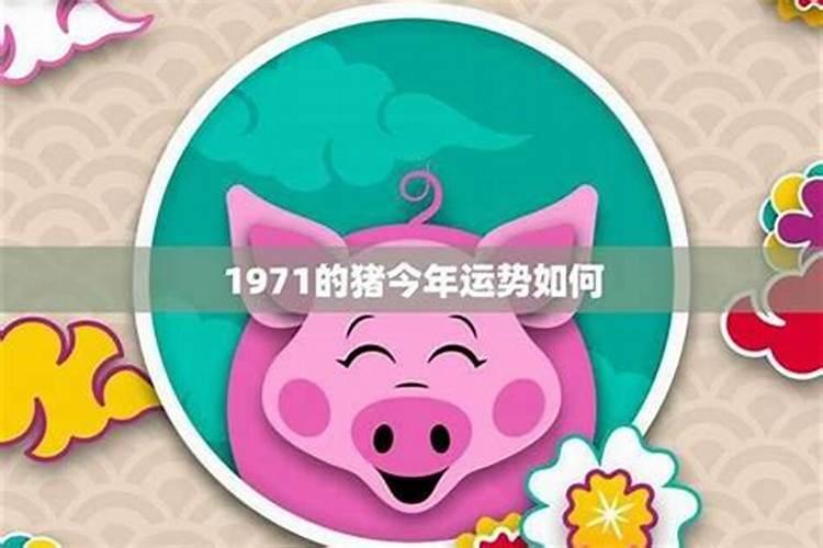 71年的猪今年运势如何？