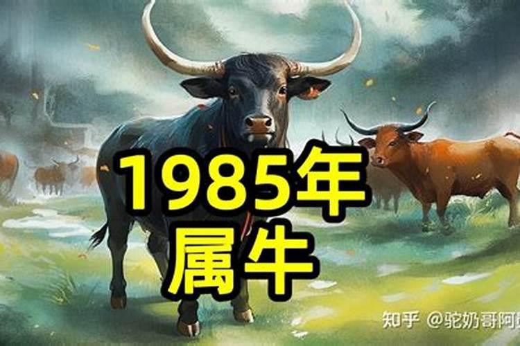 1985年属牛女8月份运势如何？