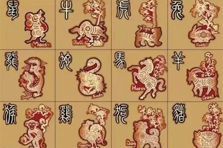 属相婚配准的吓人