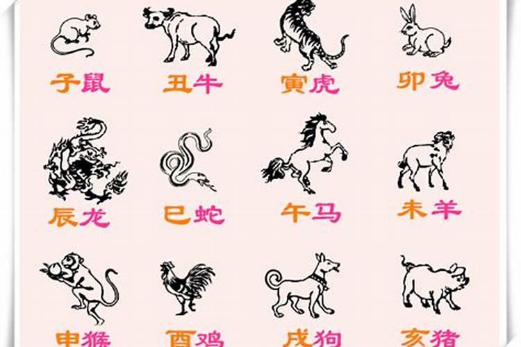 小人生肖是什么生肖动物？