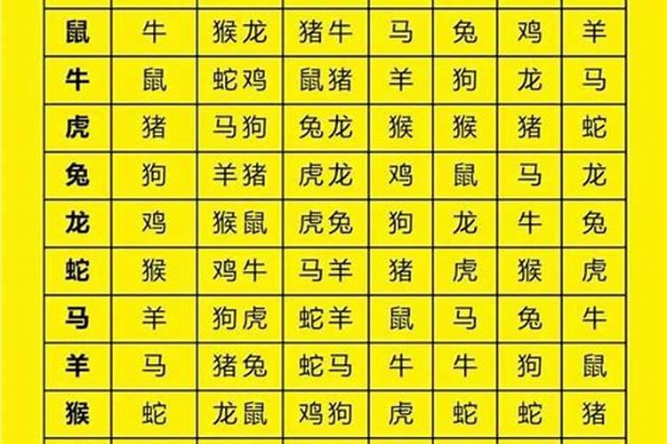 属狗婚配哪个属相比较合？