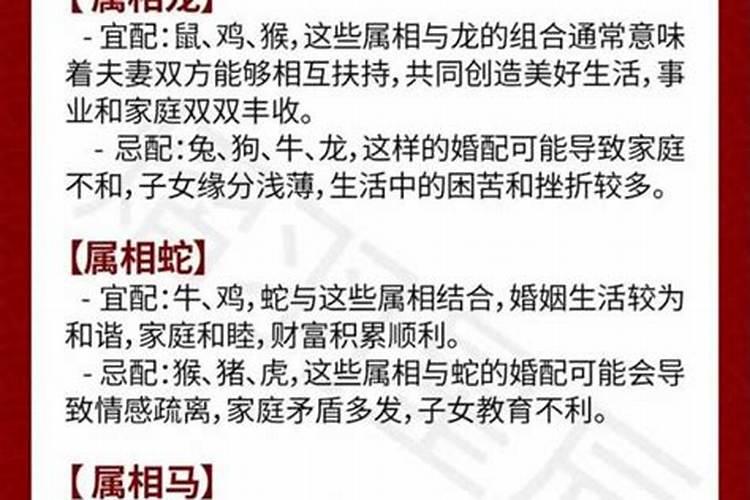 属马的和什么属相最合婚？