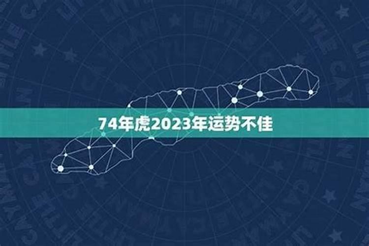 74属虎一生运势如何？