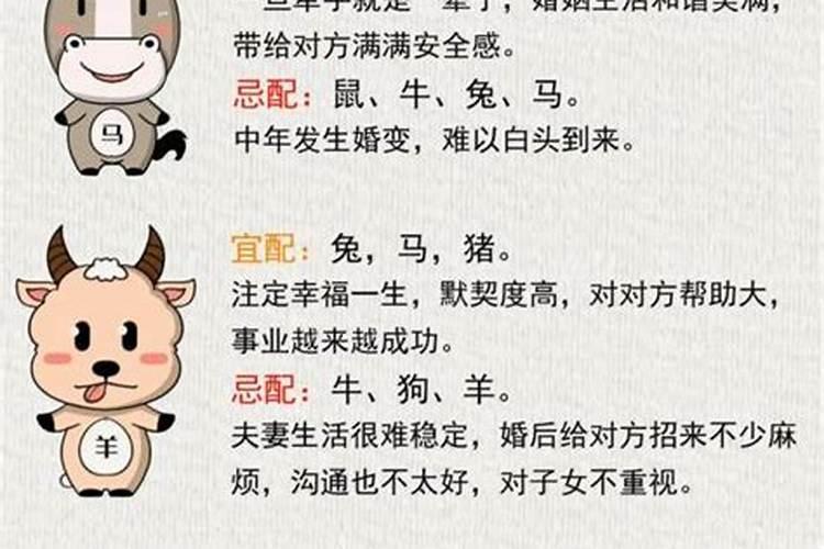 属猪和属牛的合婚吗？