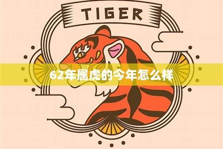属虎的运程今年怎么样？
