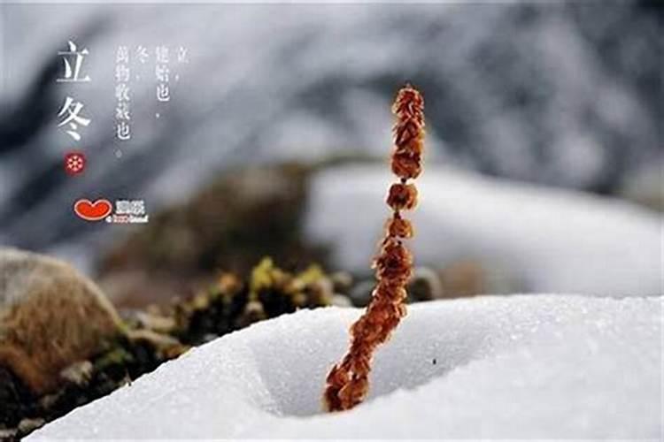 立冬后一定要注意什么问题？
