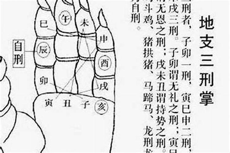 200克的太岁怎么养？