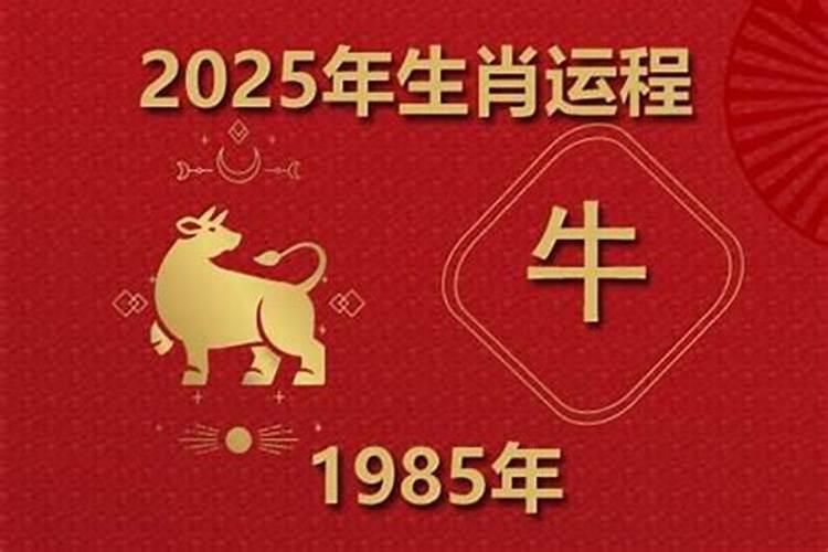 1985年的牛一生运势