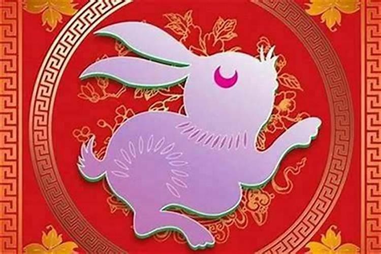 火兔和木狗合婚吗？