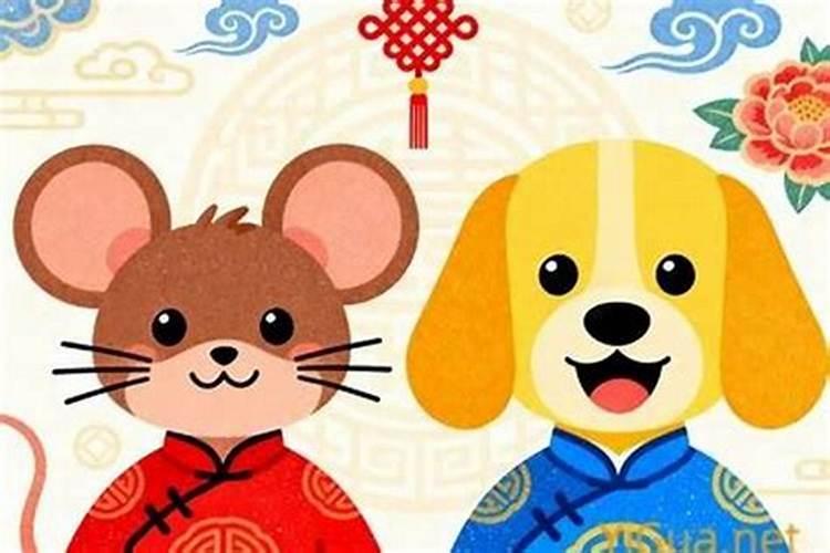 属狗的和属鼠的合婚吗？