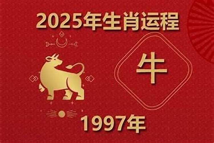 97年男在2027年运程