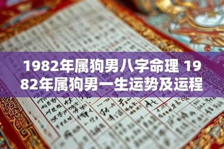 属狗1982一生运势及运程详解