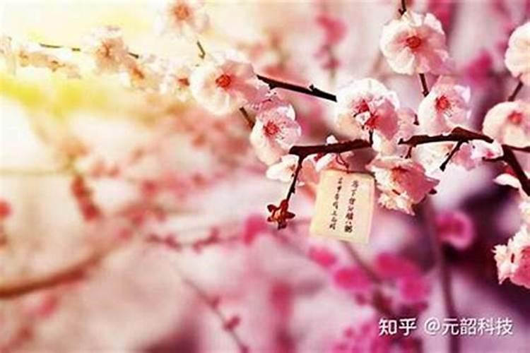 斩桃花需要提供小三的生辰八字吗？