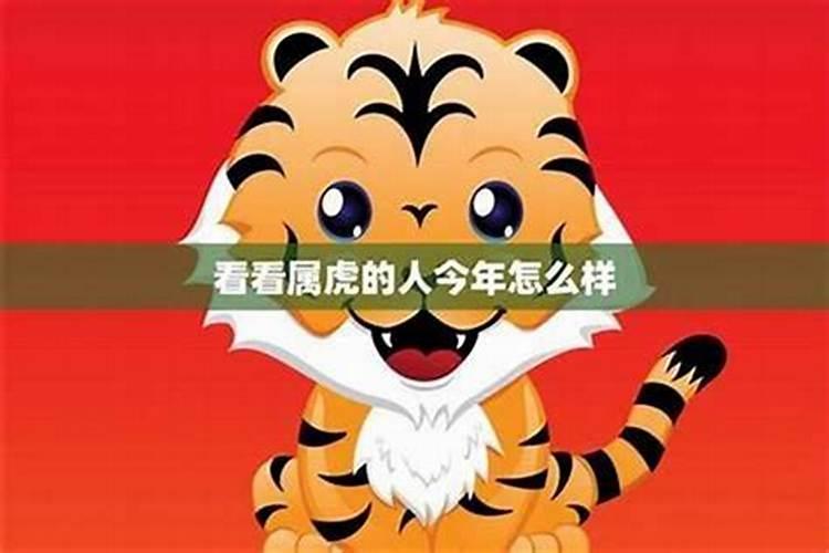 2027年属虎10月份运势如何？