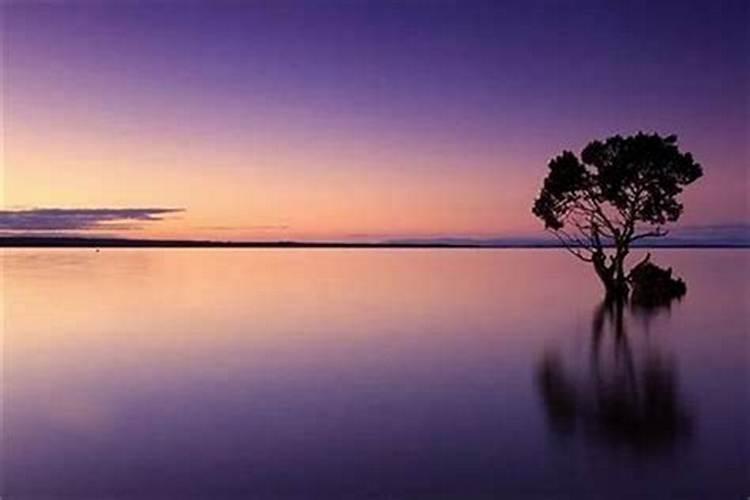梦见特别漂亮的风景大海什么意思？