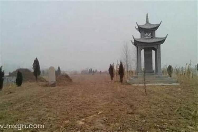 梦见死人头露出坟地好不好？