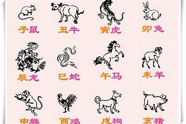是小人的生肖是什么？