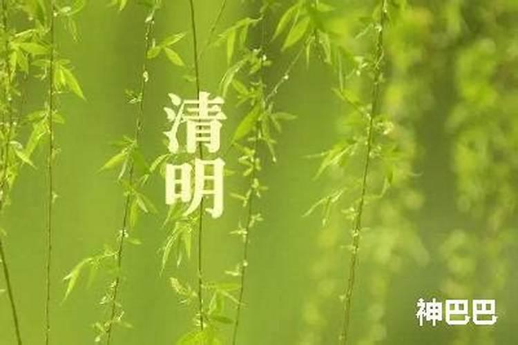 每年的清明在农历的什么时候？