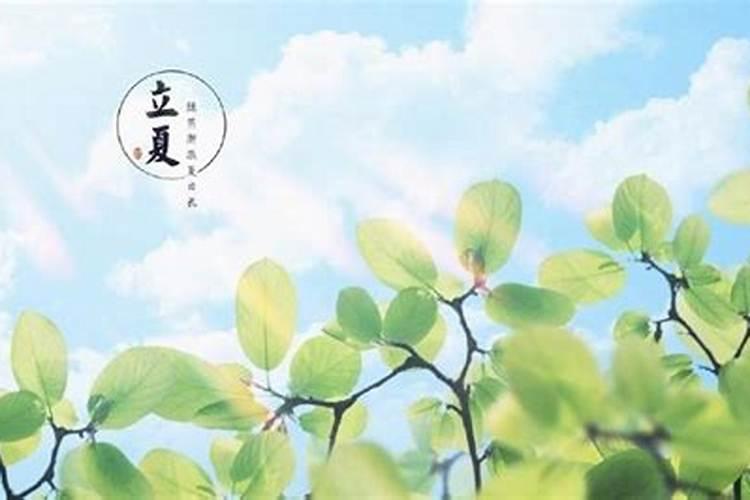 立夏节气风水宜忌