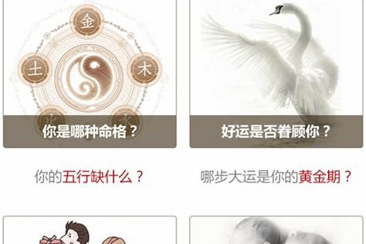 属马农历二月运势如何？