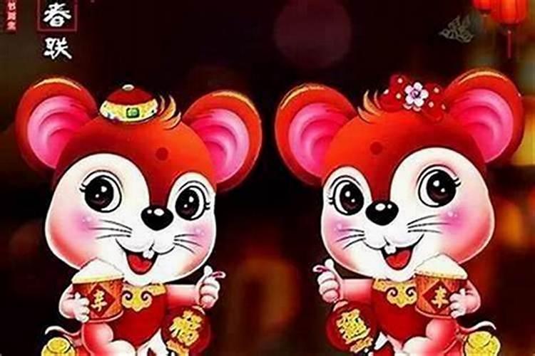 男属狗和什么属合婚？