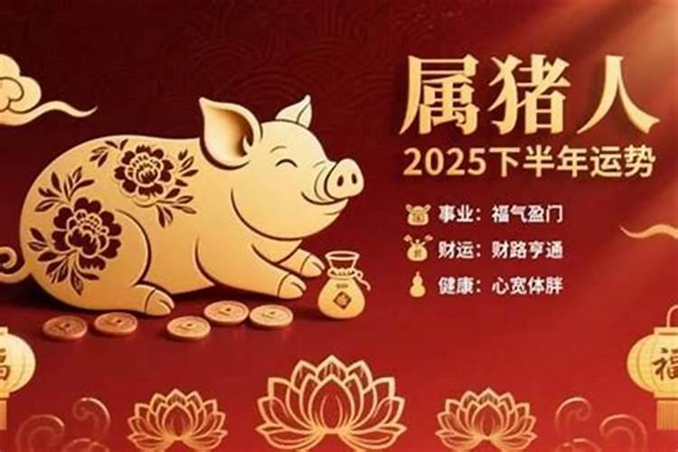 属猪人2027年整体运势如何？