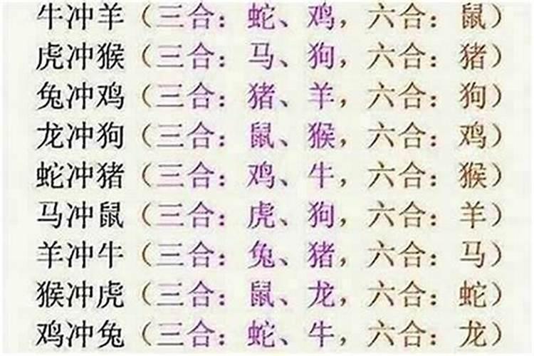属虎和属鼠八字合不合适