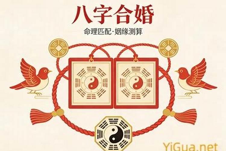 狗和猪的八字合不合