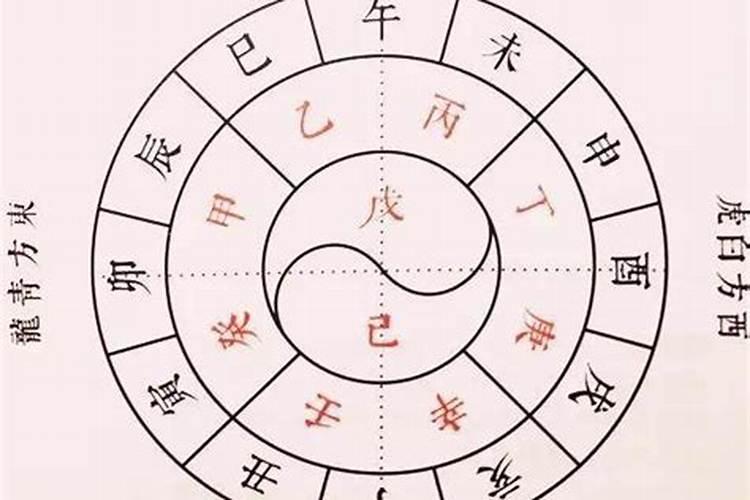 天干和地支哪个是配偶？