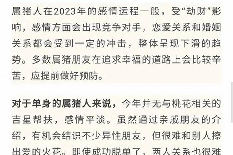 2027属猪人是什么运势如何？