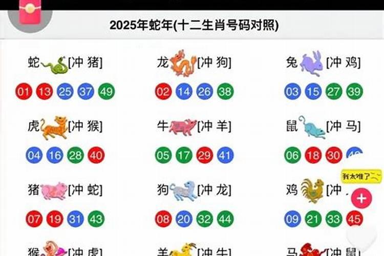 生肖蛇2027年财运