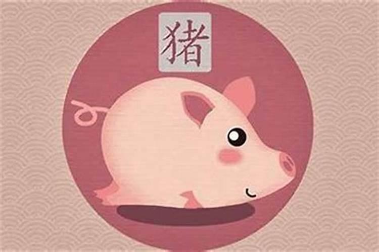 农历6月出生属猪运势