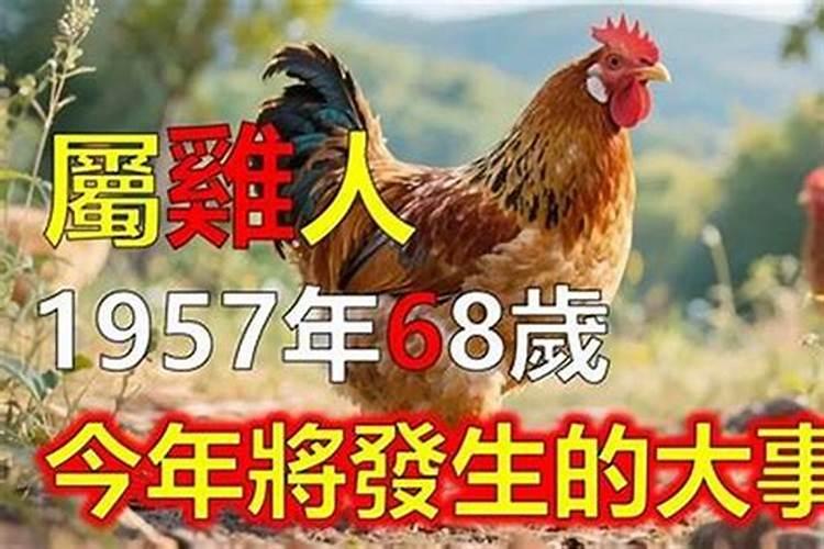 1982年12月生人今年运势