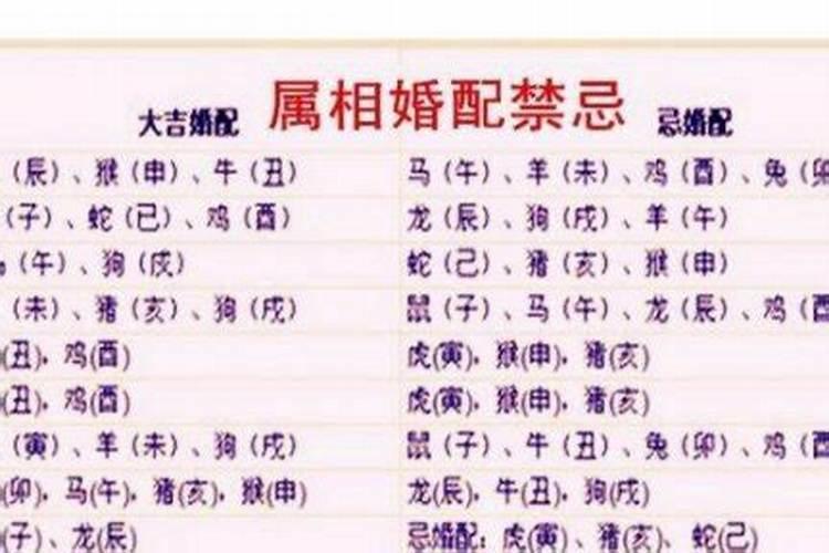 八字合婚合的是哪些？
