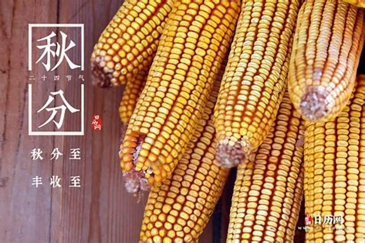 嘉兴秋分的习俗