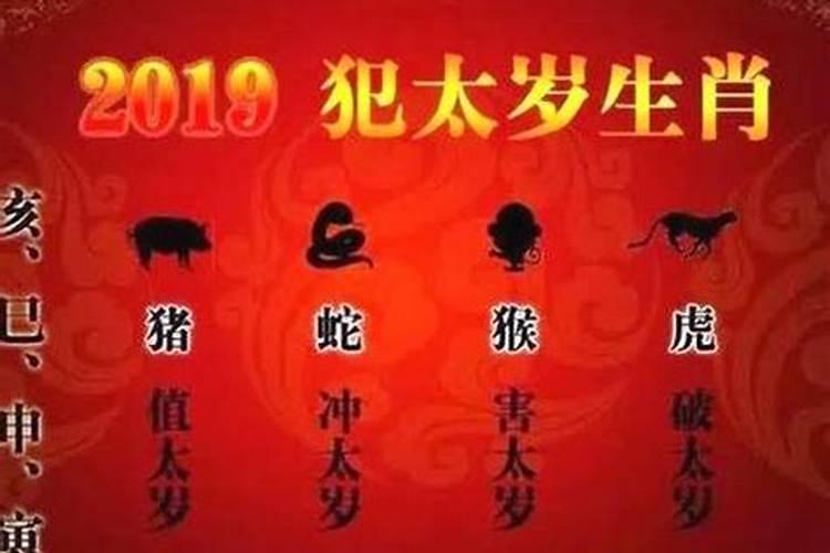 属蛇冲太岁怎么办？
