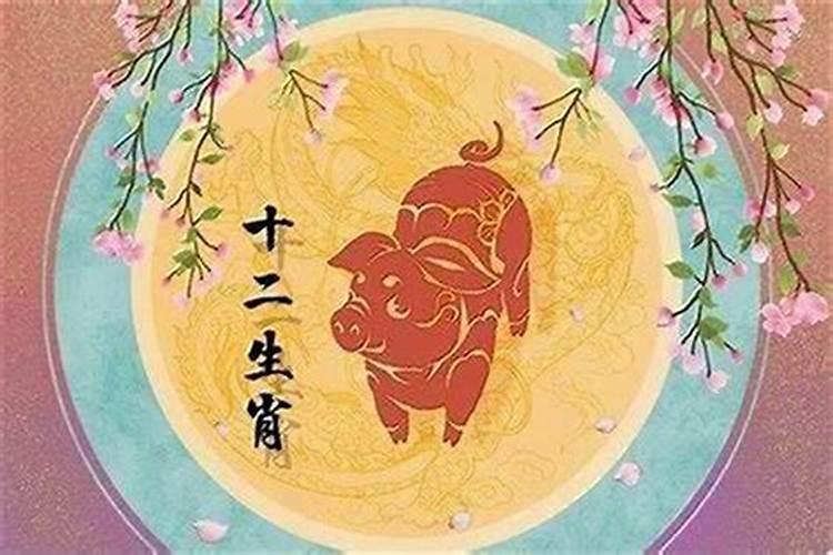 95年猪2027年的运势