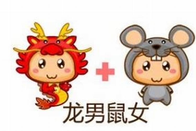 算命看婚姻虎和龙合吗？