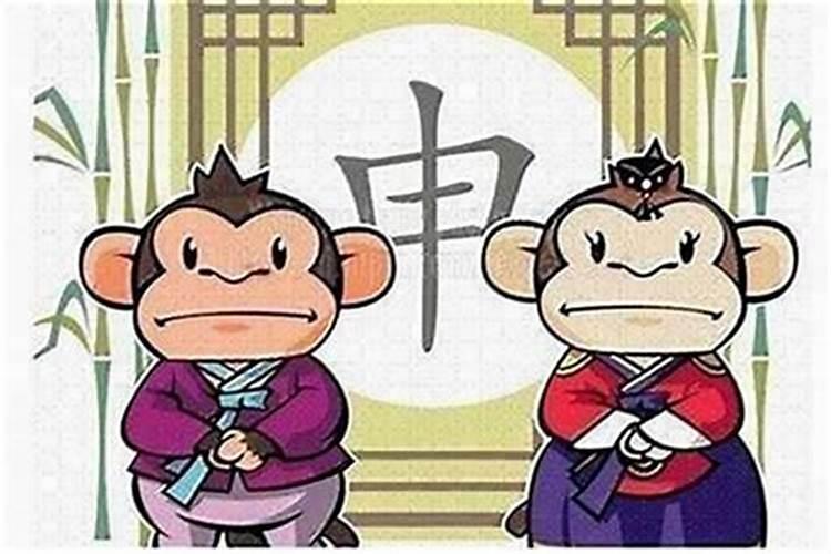 属羊女和属猴男八字合吗？