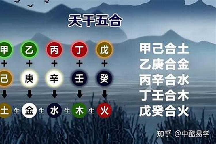 八字哪些天干和地支合？